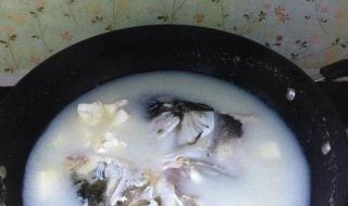 鱼身豆腐汤家常做法 豆腐鱼汤的做法